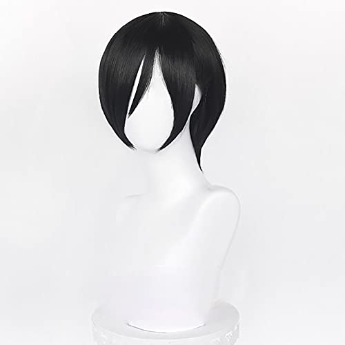 미카사 아다 코스프레 가발, 짧은 스트레이트 블랙 애니 - Tech Accessories For Men 리뷰 및 가격