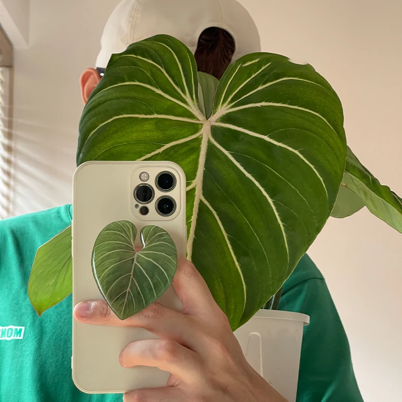 광택 시뮬레이션 잎 전화 홀더 그립 손가락 반지 지원  - Tech Accessories Phone 리뷰 및 가격